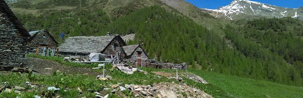 Ratagina (Ratajïna)