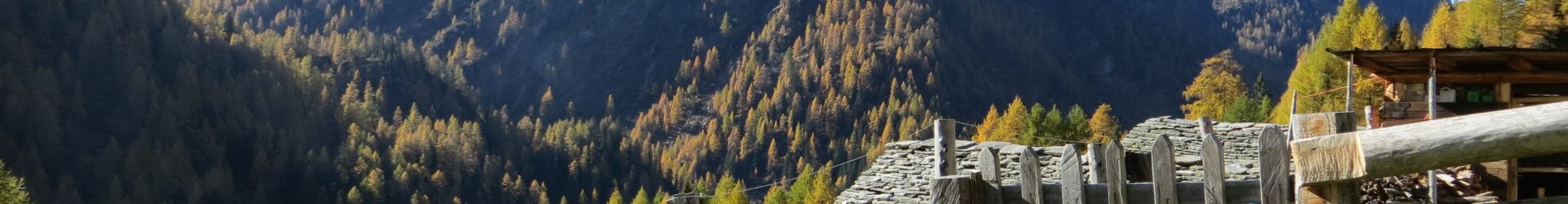 Alpe Campo (Val Agrasino)