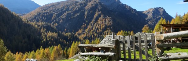 Alpe Campo (Val Agrasino)