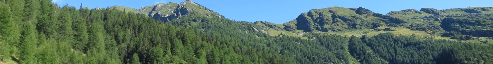 Nocca (à la Nòoca)