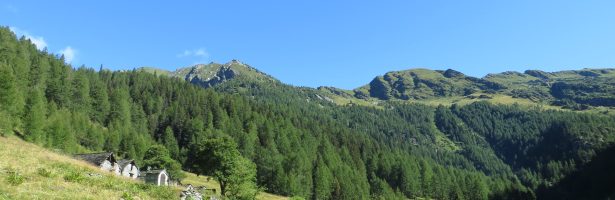Nocca (à la Nòoca)