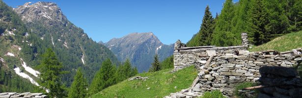 Pisardo (al Pisàart – Val Agrasino)