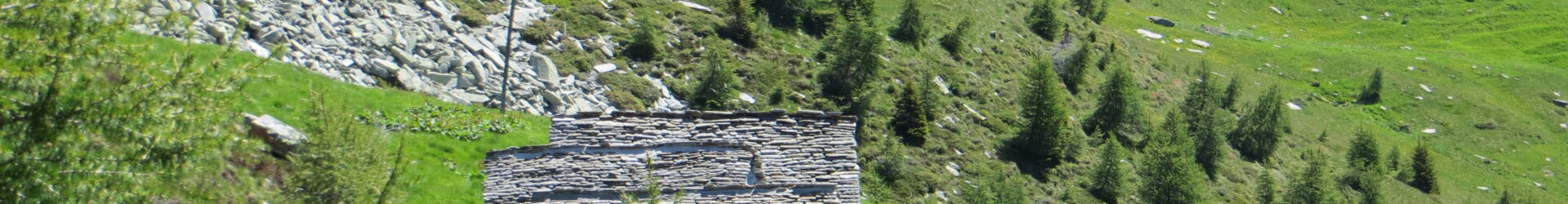 Alpe Fiesco