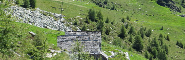 Alpe Fiesco